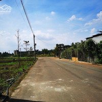 Cần Bán Nhanh Đất Nền Tại Hưng Lộc, Thống Nhất, Đồng Nai