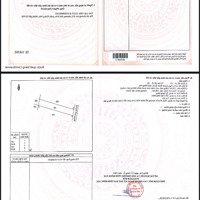 Bán Sỉ Nguyên Lốc 43 Lô La Ngà, Định Quán, Đồng Nai Giá Bán 1 Tỷ/1 Lô