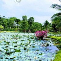 Bán Căn Hộ 3 Pn Tại Vị Trí Đẹp Nhất Kđt Ecopark, Chính Sách Tốt, Số Lượng Có Hạn