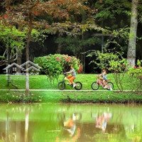 Bán Căn Hộ 3 Pn Tại Vị Trí Đẹp Nhất Kđt Ecopark, Chính Sách Tốt, Số Lượng Có Hạn