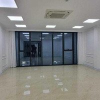 Cho Thuê Mp Liễu Giai Ba Đình 130M2 X 8 Tầngmặt Tiền12M Đh Âm Trần, Pccc, Làm Nh, Spa, Vp Giá 230 Triệu