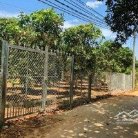 Bán Gấp Lô Đất Đẹp 2400M2 Ở Chơn Thành, Sổ Hồng Riêng, Công Chứng Trong Ngày, Tiện Ích Đầy Đủ