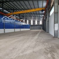 Cho Thuê Kho Xưởng Dt: 1.300M2, Giá : 60 Triệu/Tháng, Đức Hòa Hạ, Long An