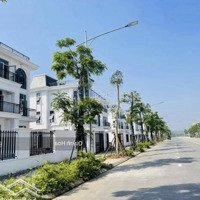 Chuyển Nhượng Căn Biệt Thự Song Lập Với Diện Tích 300M2, Gần Công Viên Lớn , Giá 4X Triệu /M2 Đất .