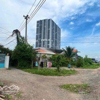 200M2 50M Thổ Cư, 190 Triệu Bao Sang Tên Công Chứng