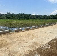 Đất Ba Trại 1000M2. Đường Thông, Thoáng. View Cánh Đồng. Mặt Tiền Rộng