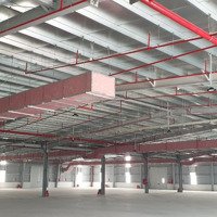 Cho Thuê Khodiện Tích3200M2 Ở Tp Bắc Ninh. Đầy Đủ Pccc Trong + Ngoài Nghiệm Thu. Giá: 3 $/M2