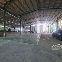 Cho Thuê Xưởng 1500M2 - 65 Triệu Bình Hòa, Thuận An. Ngay Kcn Đồng An 1