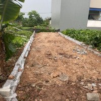 Chính Chủ Bán Lô Đấu Giá Trinh Tiết Đại Hưng, Mỹ Đức.diện Tích90M2 Tiền = Hậu = 5M. Liên Hệ: 0868171184