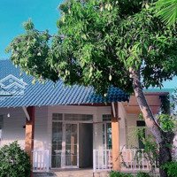 Bán Villa Sân Vườn Nha Trang Siêu Đẹp, Liên Hệ: 0762.111.113 Để Sở Hữu Giá Tốt Nhất