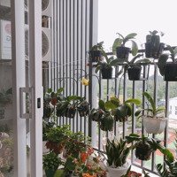 Bán Gấp Căn Hộ Sổ Hồng, 99M2, View Đb, Giá Iu Thương 7.15 Ty