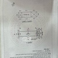 Chủ Ngộp Cần Bán Gấp Nhà 85M2,Hẽm Xe Hơiphạm Văn Bạch, Tân Bình, Giá Giảm Còn 5.6 Tỷcó Thương Lượngmạnh