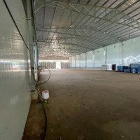 Cho Thuê Kho 2000M2 Mặt Tiền Ql26