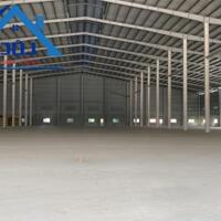 Cho thuê xưởng 10.000m2 KCN Thạnh Phú, Vĩnh Cửu, Đồng Nai 3USD/m2