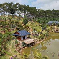 Bán 245M2 Đất Khu Farmstay View Rừng Thông B''la'' Huyện Bảo Lâm