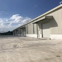 Cho thuê kho xưởng 2500m2 và 5000m2 tại KCN Kim Thành giá 60.000đ/m2, PCCC tiêu chuẩn