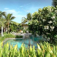 Chính Chủ Bán Biệt Thự 3 Phòng Ngủhồ Bơi Riêng, 9,3Tỷ Tại Dự Án The Ocean Villas Quy Nhơn Có Thương Lượng