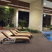 Cho Thuê Căn 2 Phòng Ngủ74M2 The Botanica Phổ Quang, Full Nội Thất Đẹp Giá 17 Tr/Th