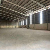 Cho Thuê Kho 1000M2 Đường Tân Thơi Nhất Quận12