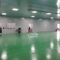 Cho Thuê Xưởng Mới 100%Diện Tích2000M2 , 3100M2 Và 3800M2 Ở Kcn Bắc Ninh. Pccc Trong Ngoài Nghiệm Thu