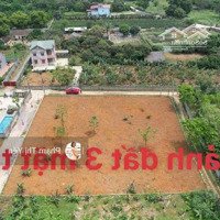 Bán Càng Nhanh Càng Tốt 2025M2/400M2 Tc Tại Liên Sơn, Lương Sơn Giá 2,X Tr/M2