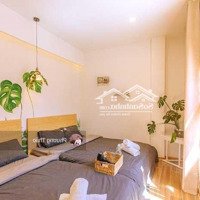 Cho Thuê Homestay - 8 Phòng - 23 Triệu/Tháng - Thông Thiên Học, P2, Đà Lạt - Liên Hệ: 0984262722