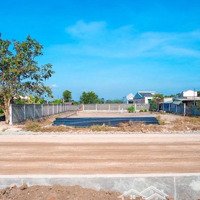 Bán Đất Thị Trấn Phước Hải Đất Đỏ Bà Rịa Vũng Tàu