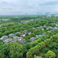 Danh Sách Chọn Lọc Bán Chuyển Nhượng Biệt Thự, Nhà Phố Liền Kề Ecopark. Tháng 6/2024