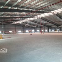 Cho Thuê Kho Mới, 500M2 - 6.000M2 Mặt Phúc Diễn, Pccc Tự Động, Kho Mới, 100 Nghìn/M2/Th