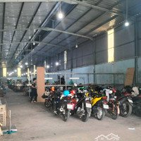 Cho Thuê 1000M2 An Phú Thuận An 50 Triệu