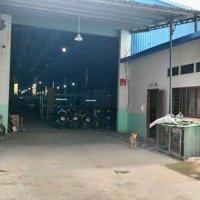 Cho Thuê 1000M2 An Phú Thuận An 50 Triệu