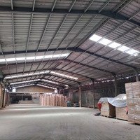 Cho Thuê 2300M2 Dĩ An Giá Bán 110 Triệu