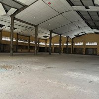 Cho Thuê Xưởng Tân Phú - 3200M2 - 200 Triệu - Có Pccc - 0797666631