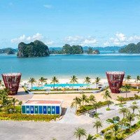 Quỹ Hàng Hiếm - Lô Áp Góc View Biển, Cạnh Quảng Trường. Sẵn Sổ Lâu Dài, Giá Và Chiết Khấu Tốt Nhất