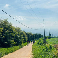 Đất Tân Hà, Lâm Đồng Giá Rẻ - View Đẹp, Săn Mây Tại Nhà, Diện Tích Rộng