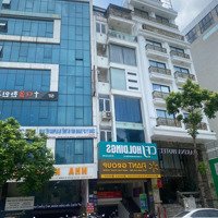 Cho Thuê Nhà Phố Linh Lang. (Nhiều Lựa Chọn). 200M2 X 2T.mặt Tiền8,5M. Lh. E Nghiệp: 0987921929