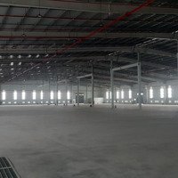 Cho Thuê Kho Xưởngdiện Tíchxưởng: 10.000M2, Pccc Tự Động, Bình 2.000 Kva, Kcn Đức Hòa Long An