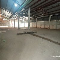 Kho Bạch Đằng,Diện Tích2.000M2, Trần Cao 7.5M Có Pccc, Điện 3 Pha, Tự Do Kd