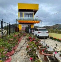 Cho Thuê Villa Sân Vườn Mini Cực Đẹp Ở Phường 7