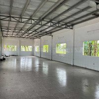 Xưởng Đường Xe Container 28.000M2 Xưởng Full Công Năng Mặt Tiền 685 Tỉnh Lộ 2 Giá Rẻ