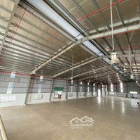 Cho Thuê Kho Xưởng Mới Kv: 14.200M2, X: 9.300M2, Vp: 518M2, Pccc Tự Động, Kcn Đức Hòa Long An