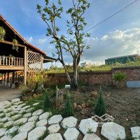 Cho Thuê Homestay Chi Lăng - Bảo Lộc