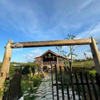 Cho Thuê Homestay Chi Lăng - Bảo Lộc