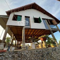 Cho Thuê Homestay Chi Lăng - Bảo Lộc