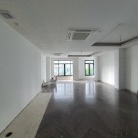 Cho Thuê Bt Tại Hoàng Quốc Việt - Cầu Giấy, 220M2 Đất, Xd:120M2 X 4 Tầng 1Hầm, Mt:8M. Thang Máy,...