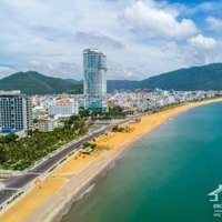 Quỹ Căn Hộ Trực Biển Tầng Cao Tms Pullman Cho Thuê Giá Rẻ