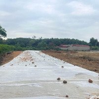 Cơ Hội Không Thể Bỏ Qua, 20X60M, View Suối, Nhà Vườn Biệt Thự Còn Thế Đất Nào Đẹp Hơn ?