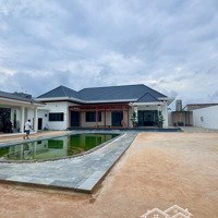 Cho Thuê Villa Siêu Vip Đối Diện Kcn Tân An 1500M2