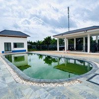 Cho Thuê Villa Đẹp Ngay Gần Cụm Công Nghiệp Tân An Đầy Đủ Nội Thất