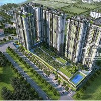 Cho Thuê Căn Hộ 1 Phòng Ngủcao Cấp Tháp Orchid Vista Verde